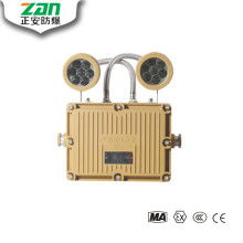 充電手電筒應(yīng)急燈價(jià)格 充電手電筒應(yīng)急燈公司 圖片 視頻