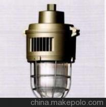 【供應(yīng)其他SBF-6003防水防塵防腐燈】價格,廠家,圖片,防爆燈,洪冠防爆電器-