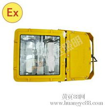 【防爆泛光燈bfc8110廠家直銷】-